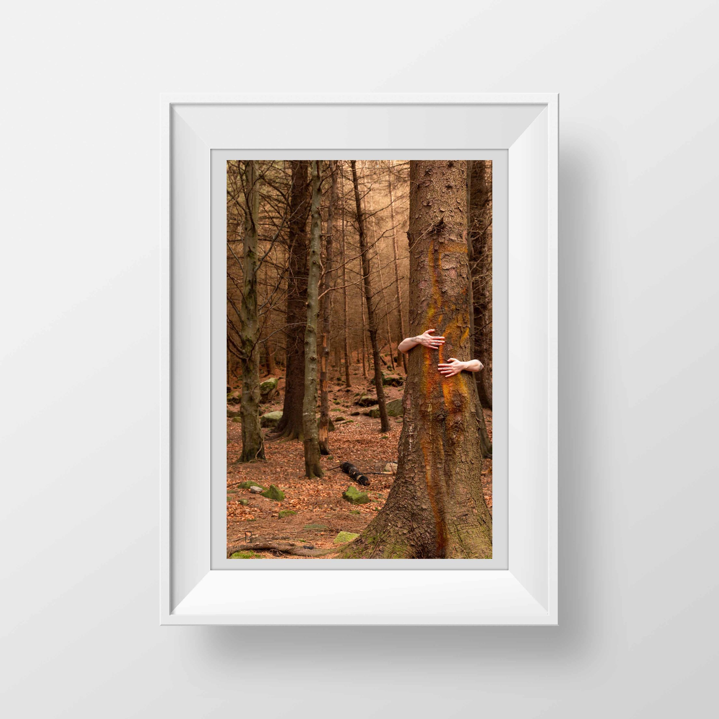 Time for a Hug in White Frame.jpg