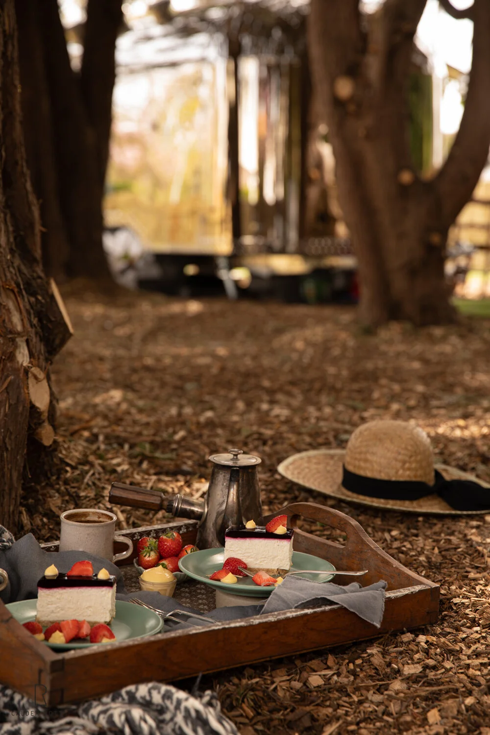 Treehouse Treats-8.jpg