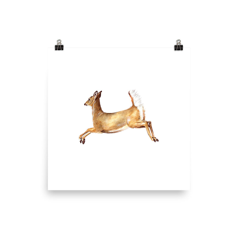 Square watercolor white-tailed doe nature print on a white background.
