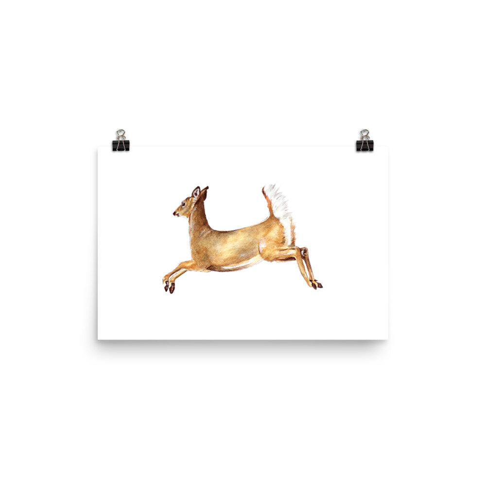 Rectangular watercolor white-tailed doe nature print on a white background.