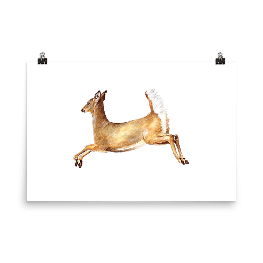 Rectangular watercolor white-tailed doe nature print on a white background.