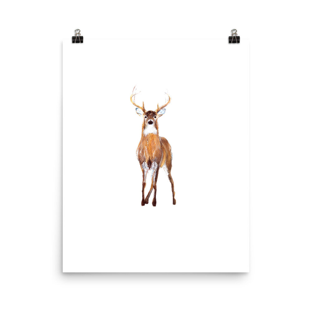 Watercolor white-tailed buck print on a white backgorund.