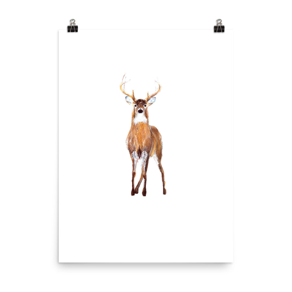 Watercolor white-tailed buck print on a white backgorund.
