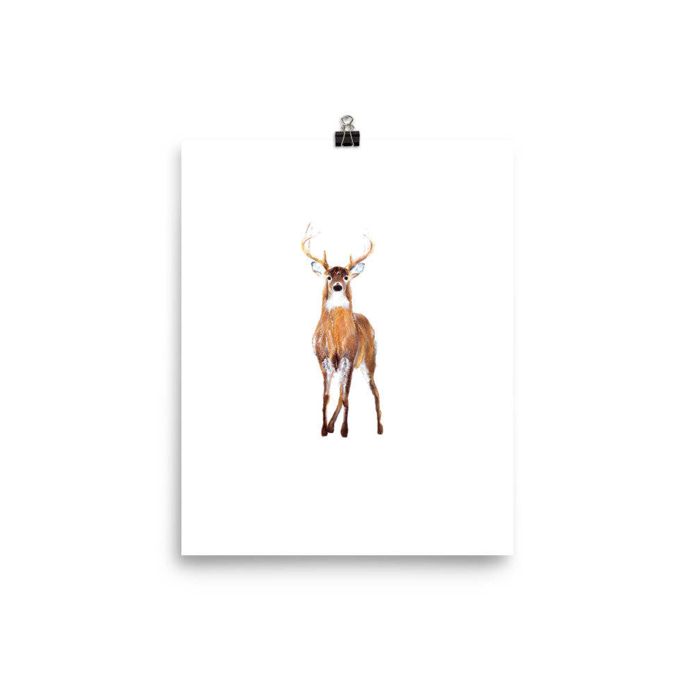 Watercolor white-tailed buck print on a white backgorund.