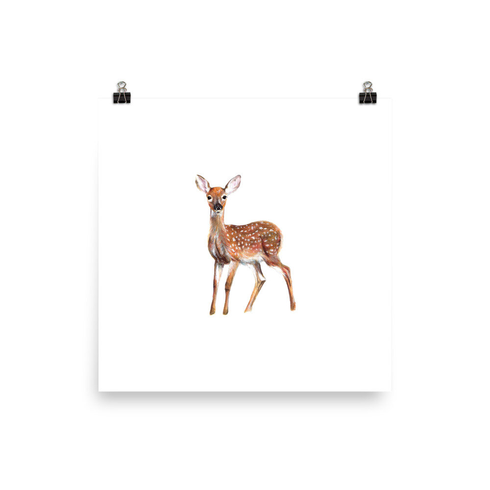 Watercolor white-tailed fawn nature print on a white background.