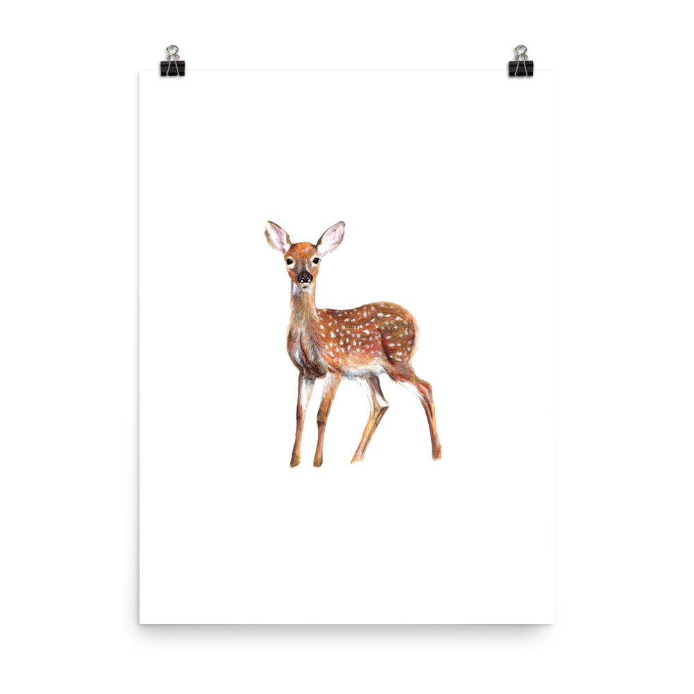 Watercolor white-tailed fawn nature print on a white background.