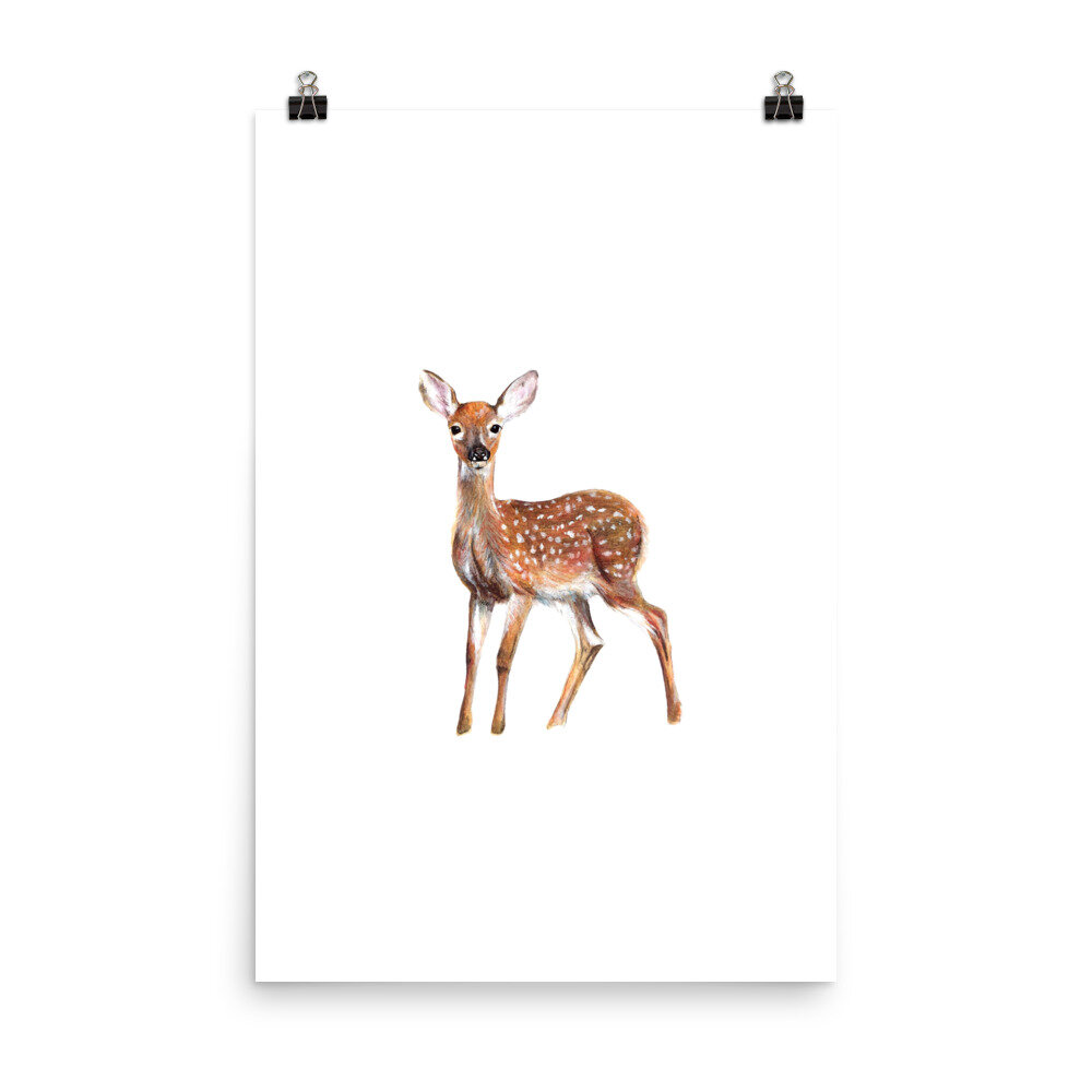 Watercolor white-tailed fawn nature print on a white background.