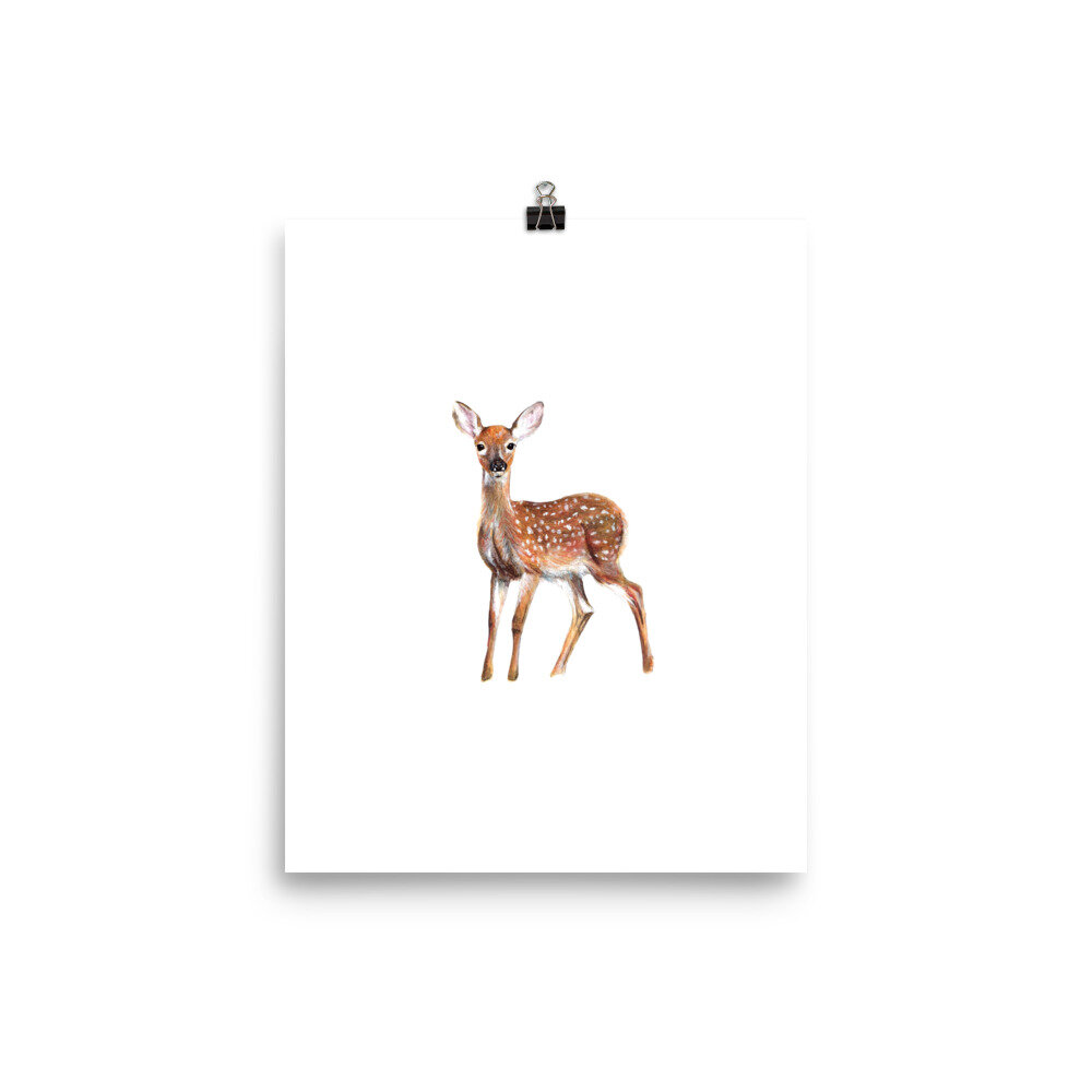 Watercolor white-tailed fawn nature print on a white background.