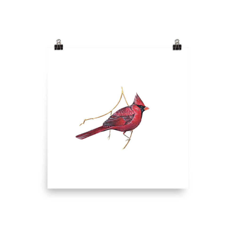Watercolor nature print