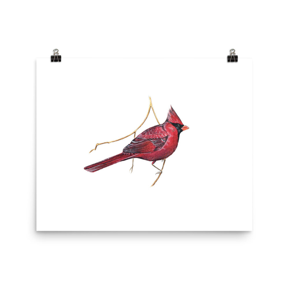 nature prints