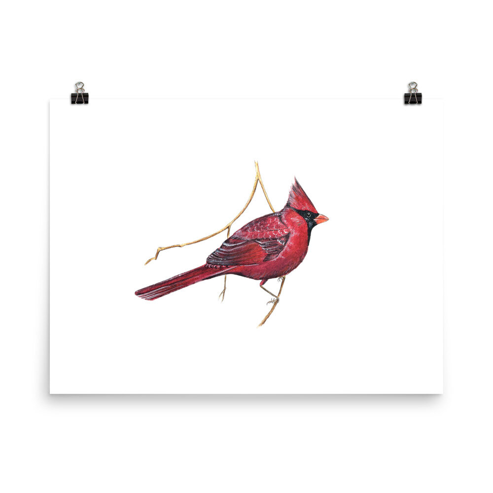 unique gifts for bird lovers