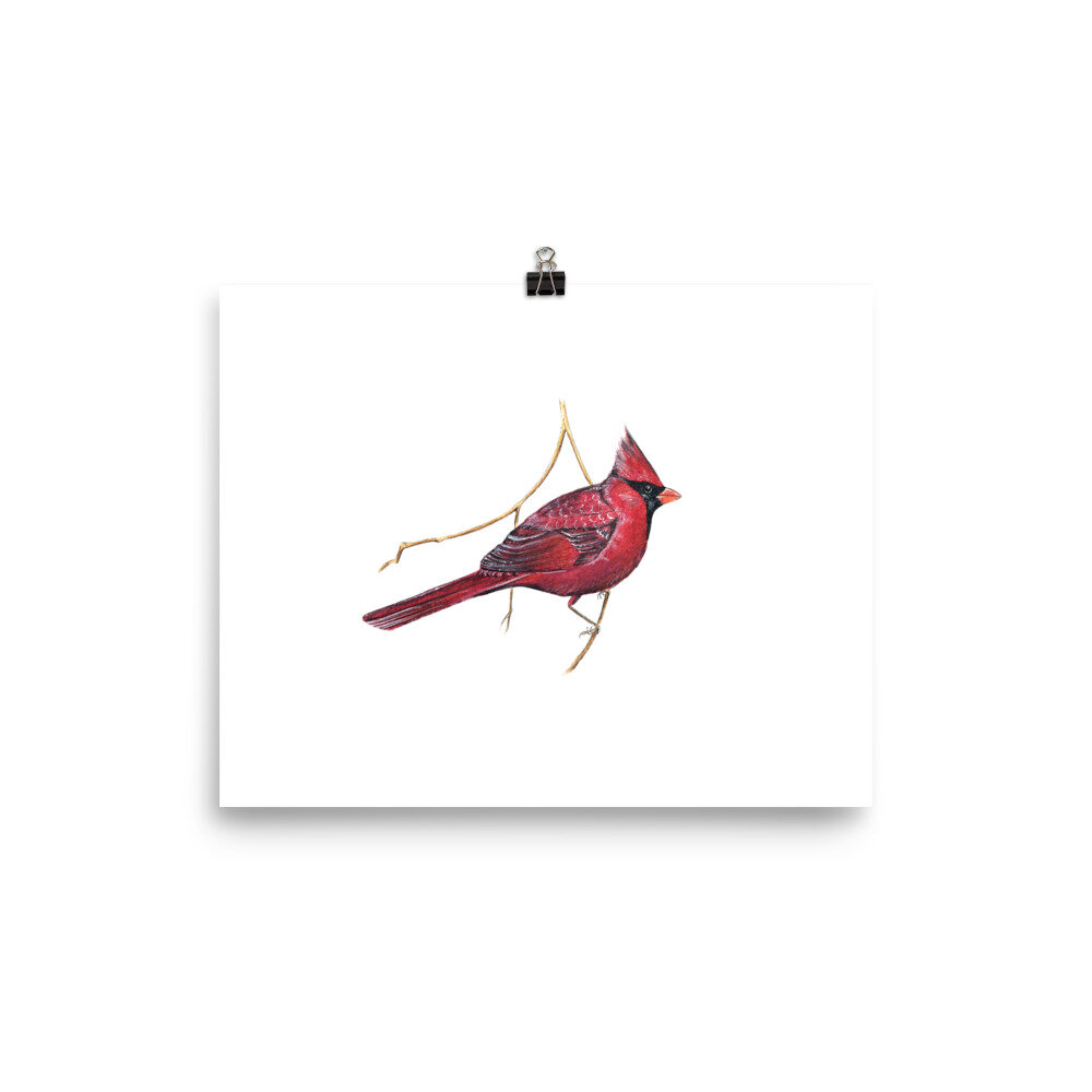Unique Cardinal artwork