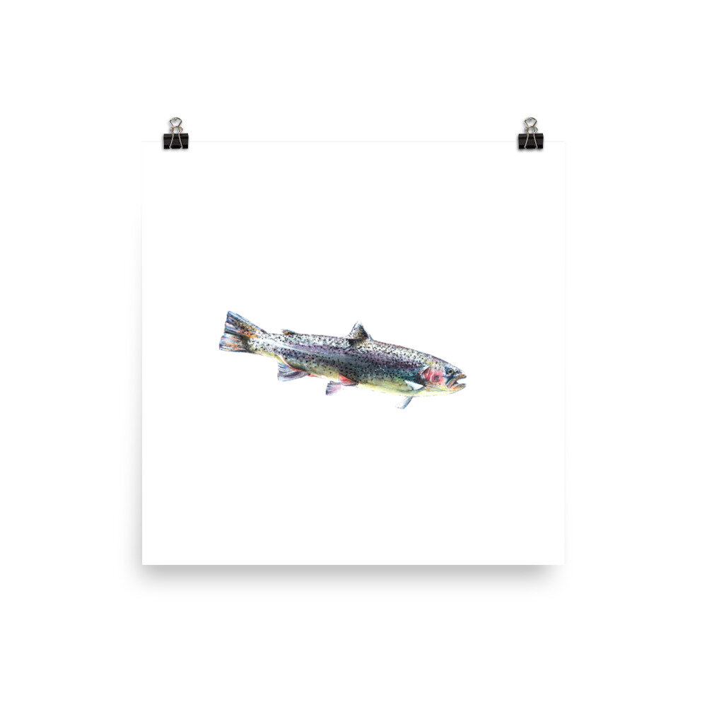 enhanced-matte-paper-poster-(in)-10x10-transparent-6052ab19037f5.jpg