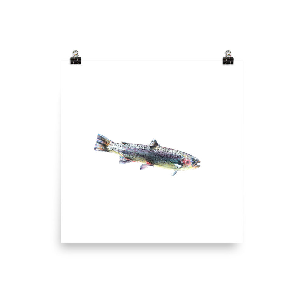 enhanced-matte-paper-poster-(in)-14x14-transparent-6052ab1903a85.jpg