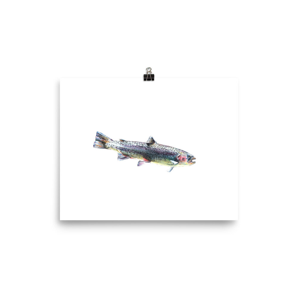 enhanced-matte-paper-poster-(in)-8x10-transparent-6052ab1903e52.jpg