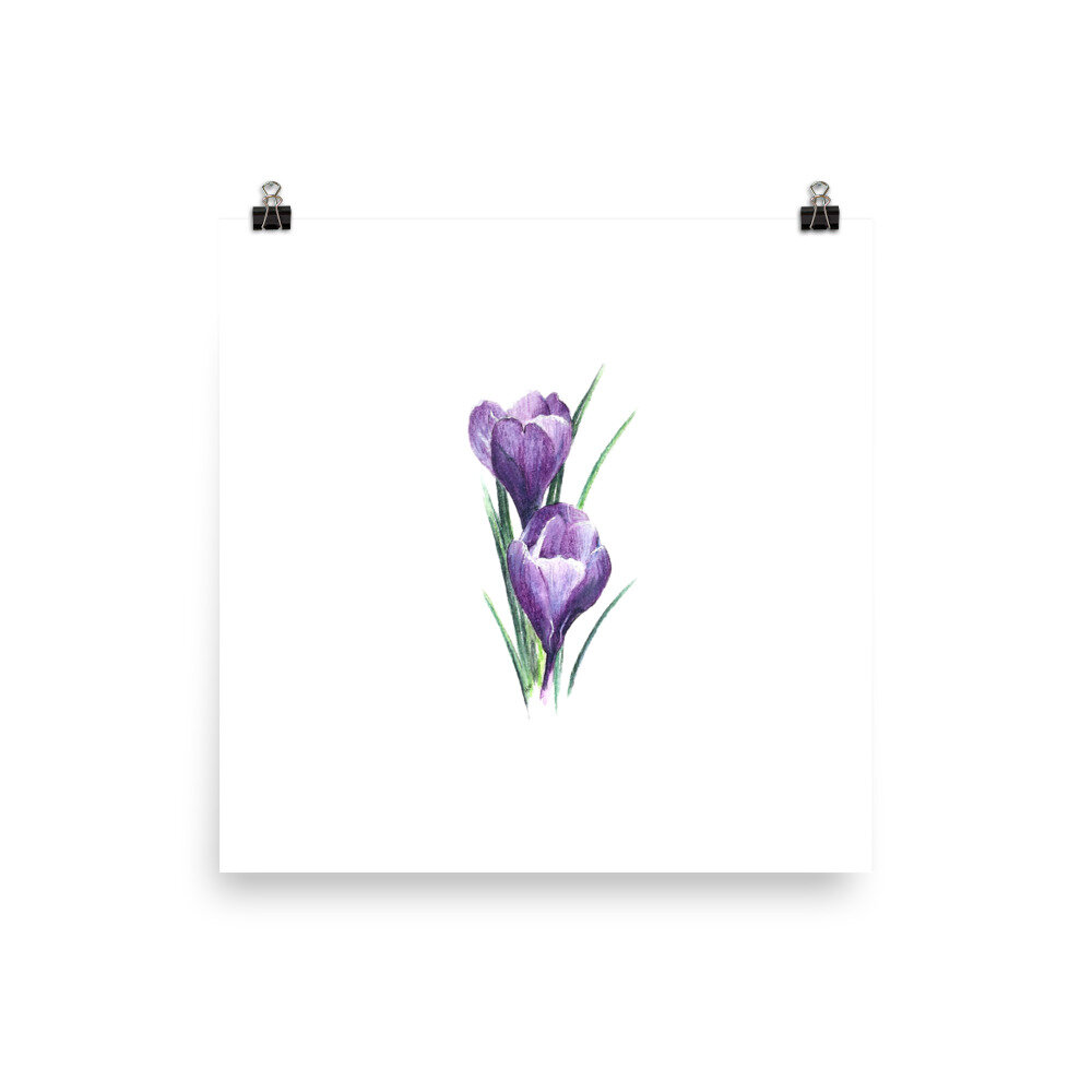 enhanced-matte-paper-poster-(in)-12x12-transparent-606f63bef1a3f.jpg