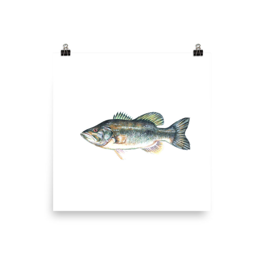 gifts for those that love fishing