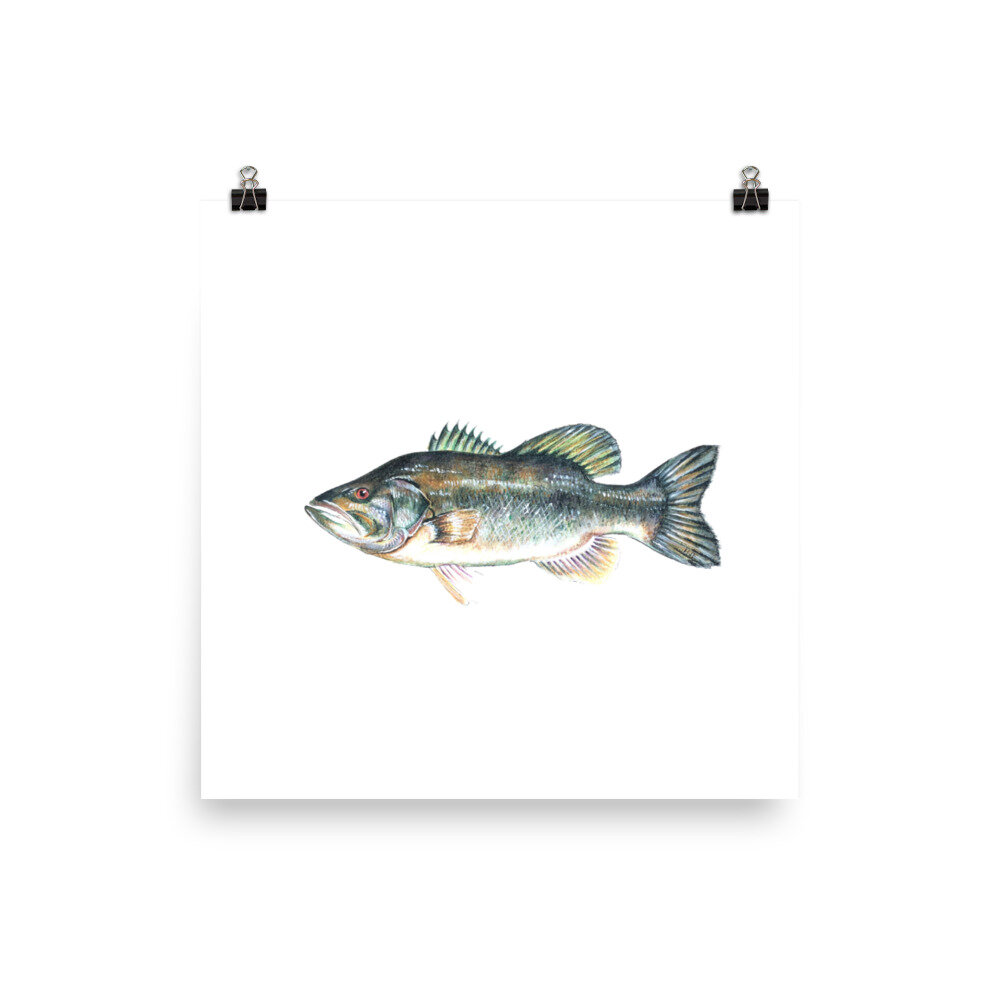 nature inspired gifts for him