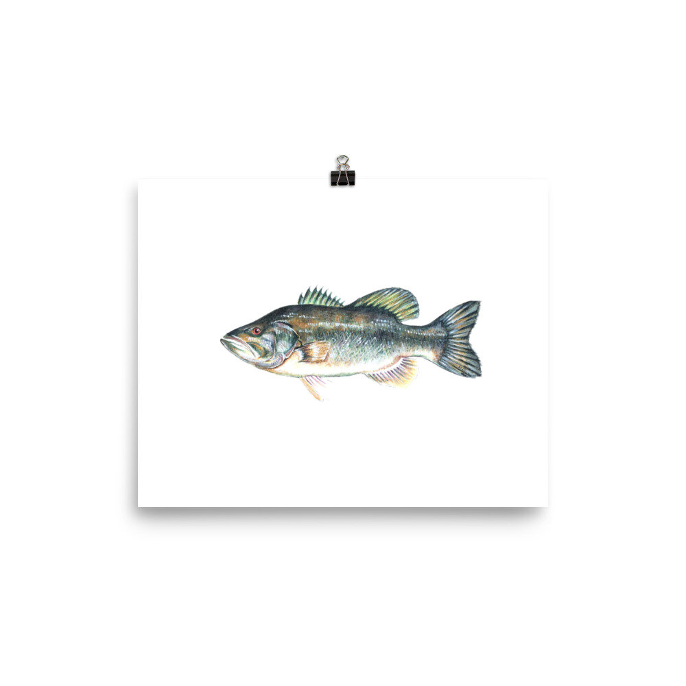 fishing lovers