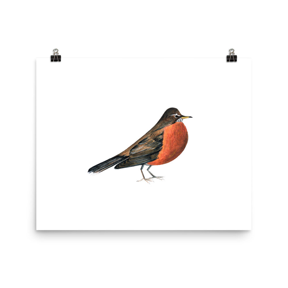 gifts for bird watchers