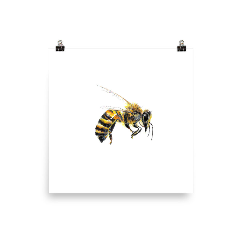 nature lovers gifts