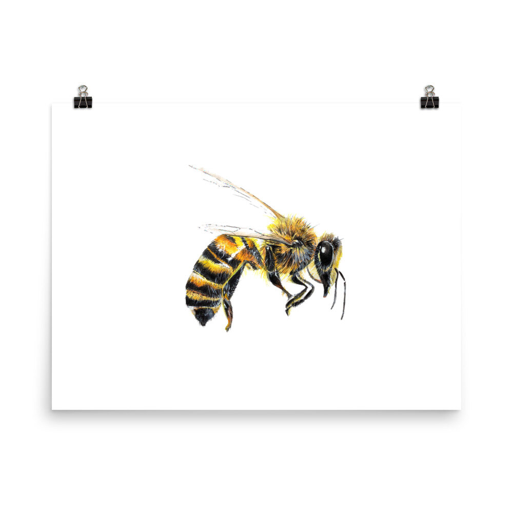 bee art