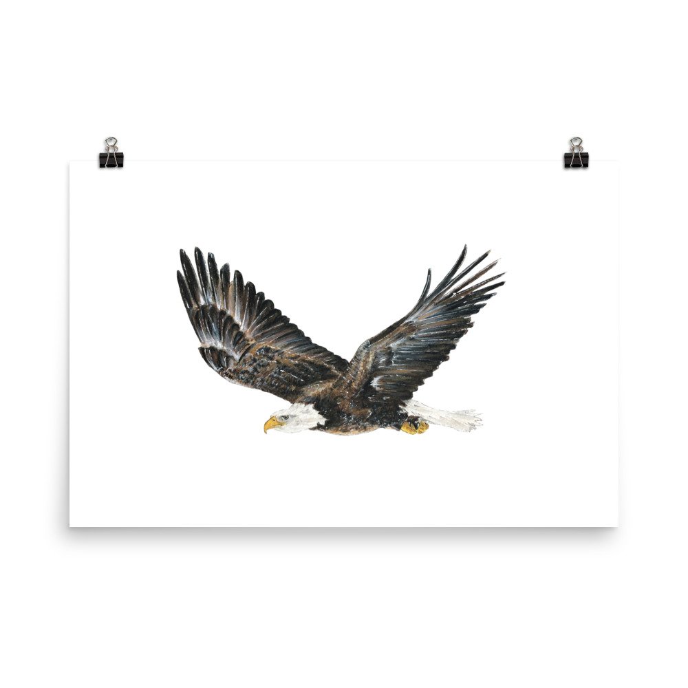 gift for eagle lovers