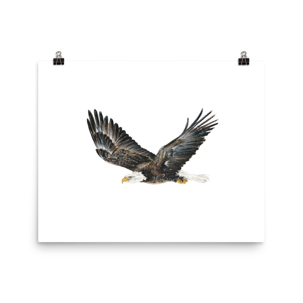 best gifts for naturalists