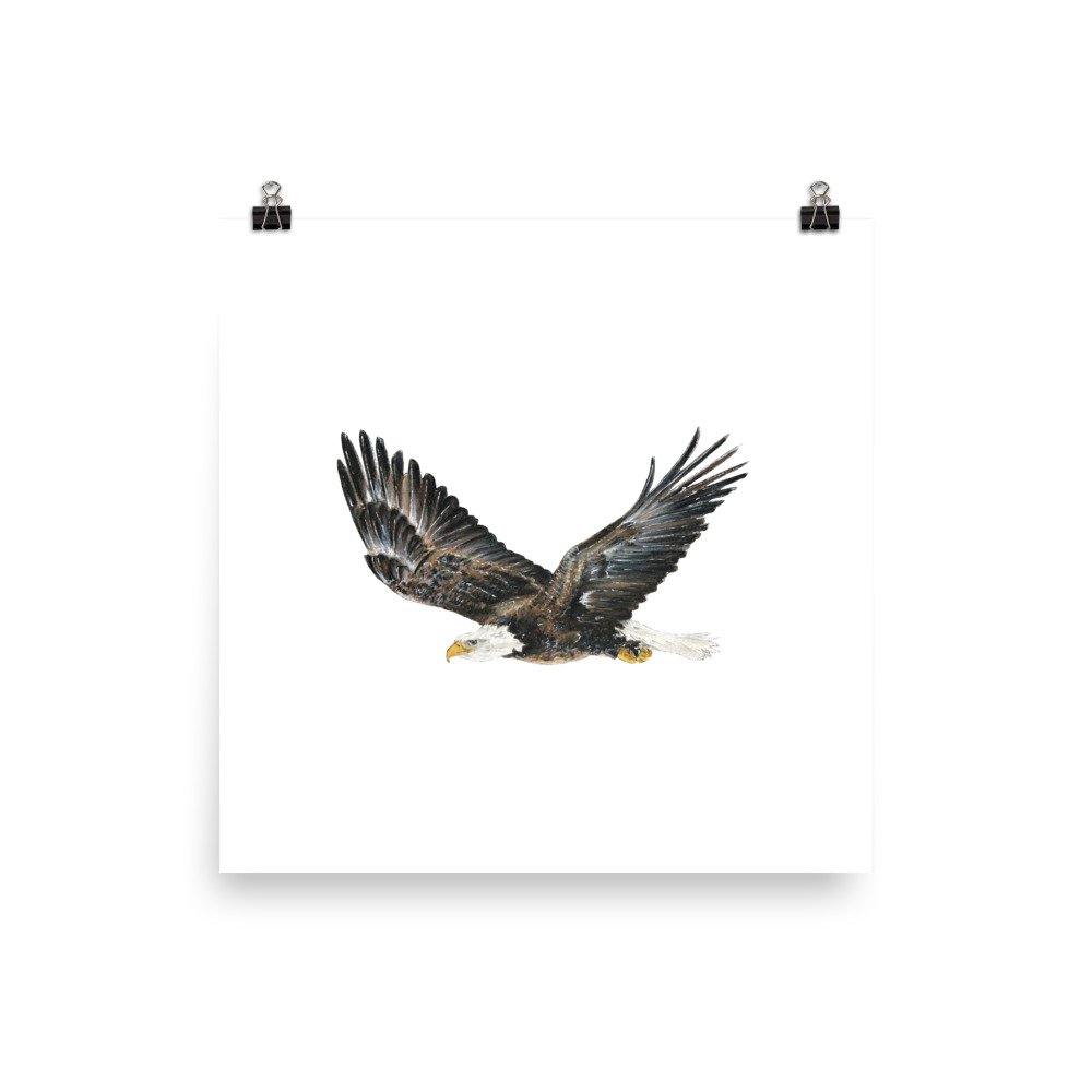 nature lover gifts