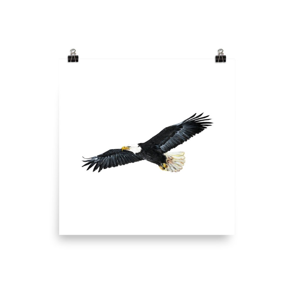 enhanced-matte-paper-poster-(in)-10x10-transparent-622bcbdf02968.jpg