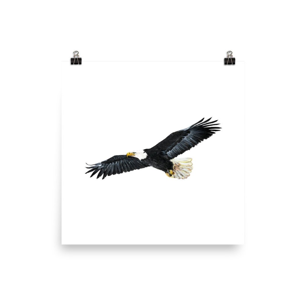 enhanced-matte-paper-poster-(in)-14x14-transparent-622bcbdf02c79.jpg