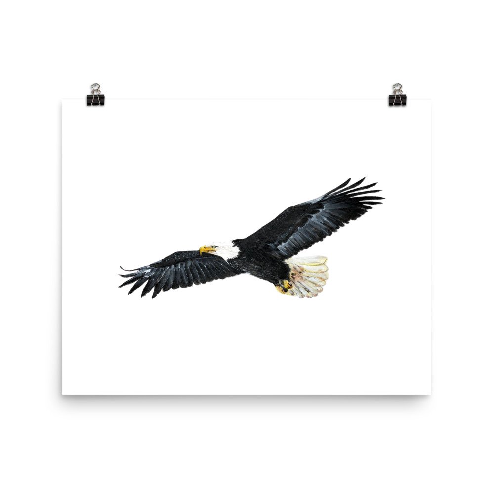 enhanced-matte-paper-poster-(in)-16x20-transparent-622bcbdf02de5.jpg