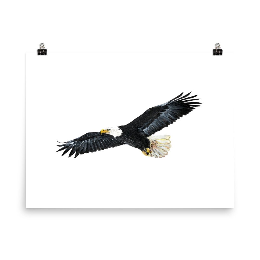 enhanced-matte-paper-poster-(in)-18x24-transparent-622bcbdf02f32.jpg