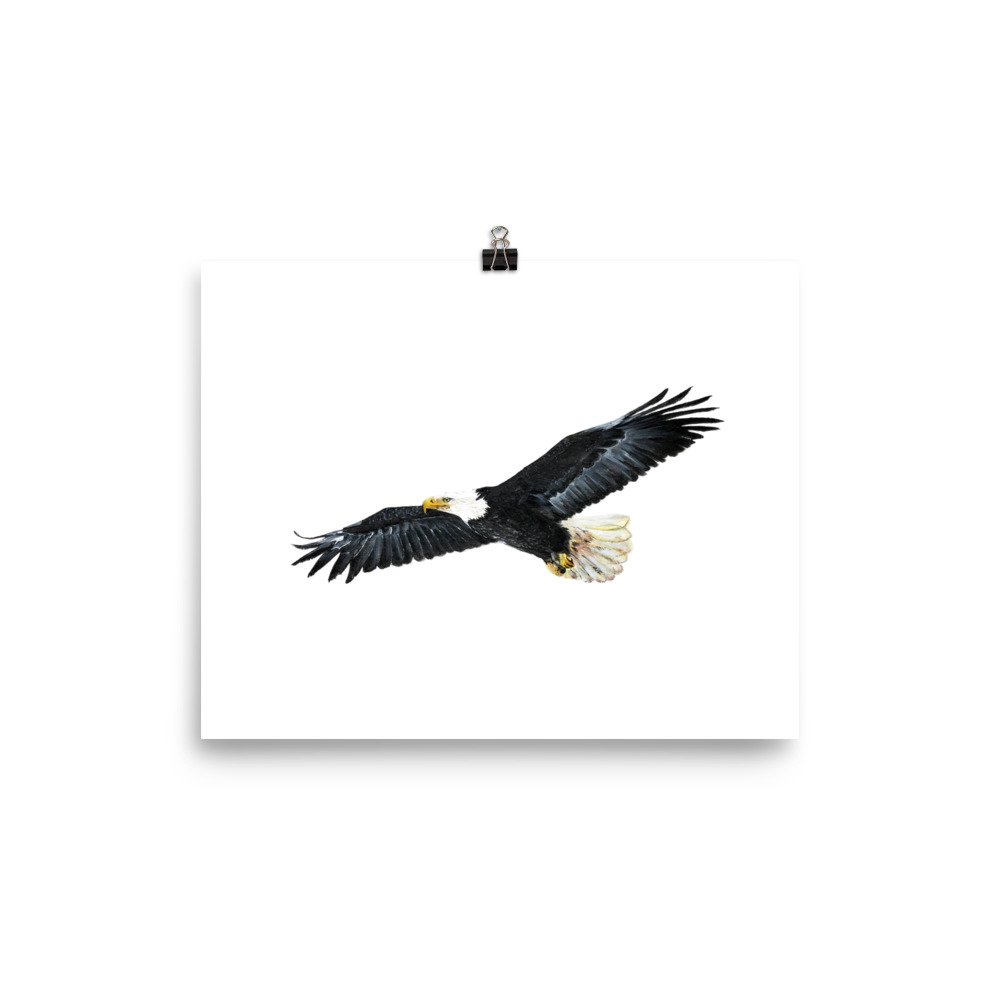 enhanced-matte-paper-poster-(in)-8x10-transparent-622bcbdf03081.jpg