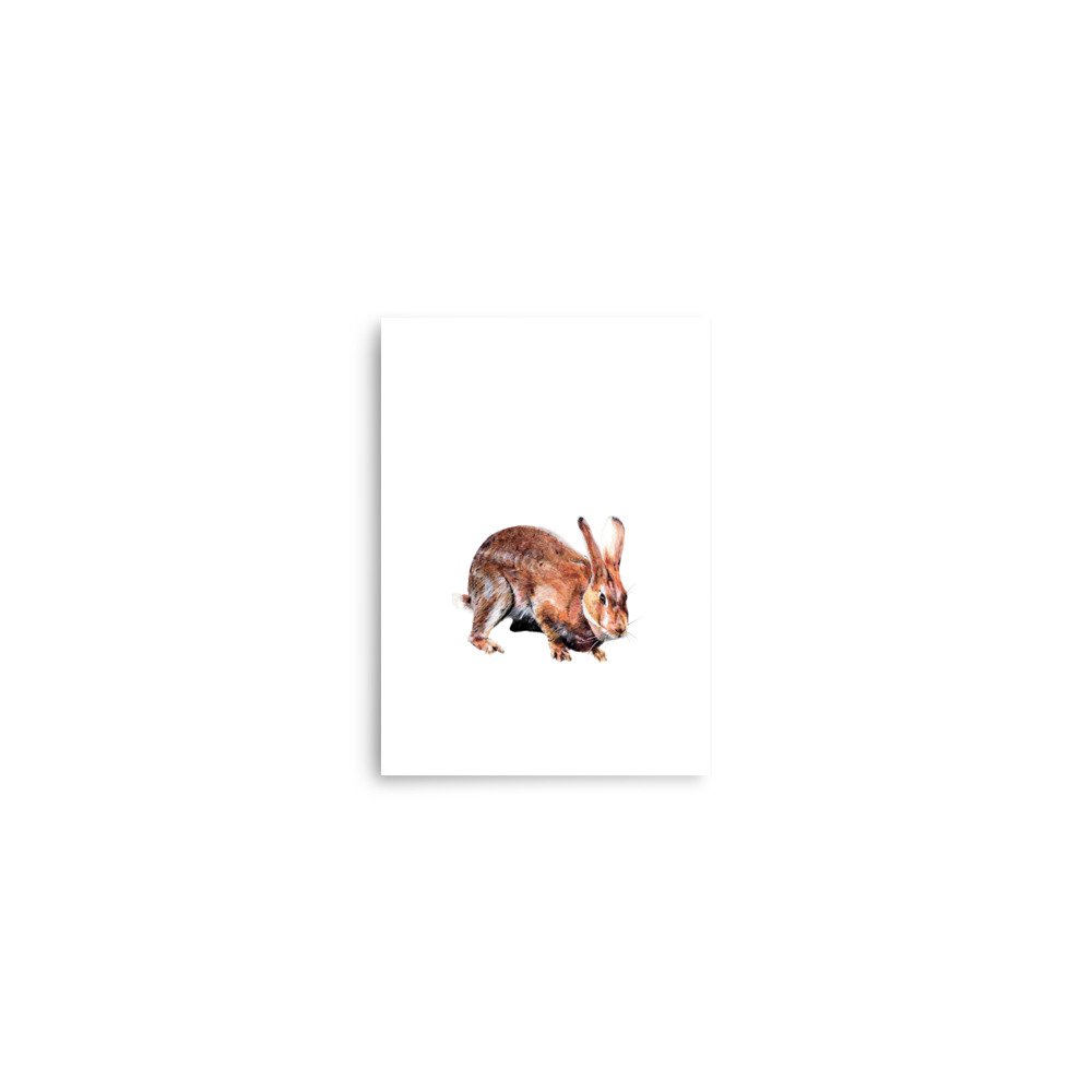 enhanced-matte-paper-poster-(in)-5x7-front-6802b728f0655.jpg