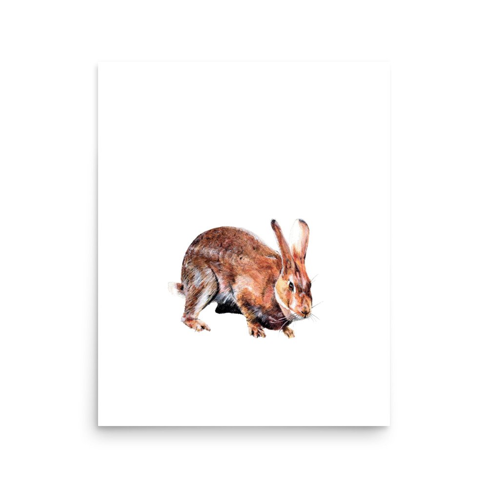 Bunny Rabbit Fine Art Print