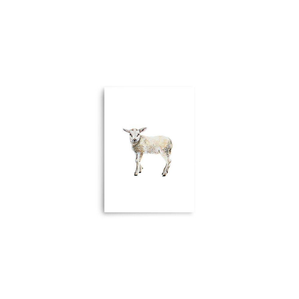 enhanced-matte-paper-poster-(in)-5x7-front-6802bb0429e9e.jpg