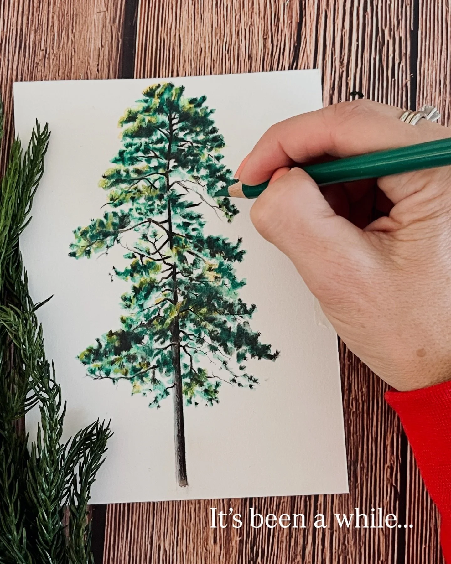 It&rsquo;s been a while since I spent time illustrating nature in my studio. 

I got busy.
I don&rsquo;t like to be busy.

I like to have margin in my days to create.

We were created in the image of The Creator. 

There&rsquo;s inspiration all aroun