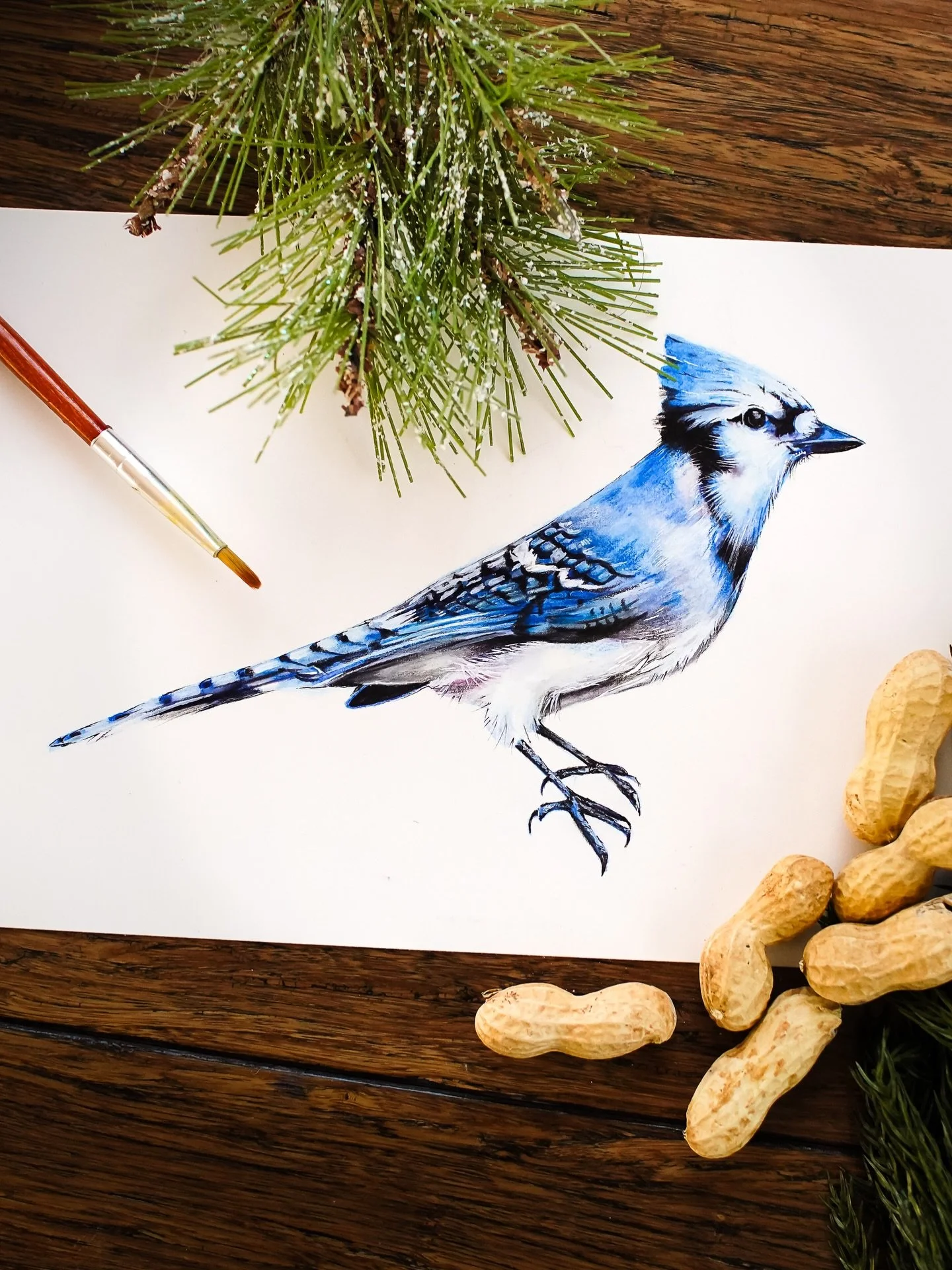 God didn&rsquo;t just create a beautiful world - He created a living classroom where we can know Him better every single day! 

When I study the intricate details of a blue jay&rsquo;s wing or the perfect timing of seasons, I see His incredible care 