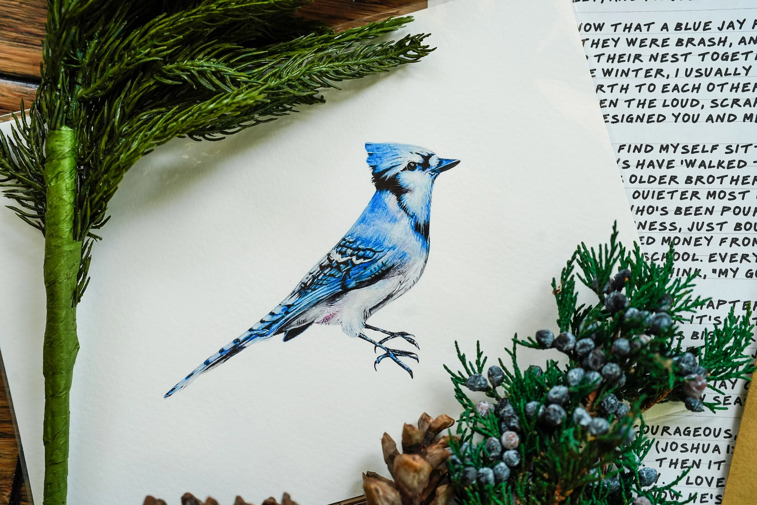 Hand-painted blue jay watercolor nature print included in The OUT Post snail mail subscription by Heidi Joy