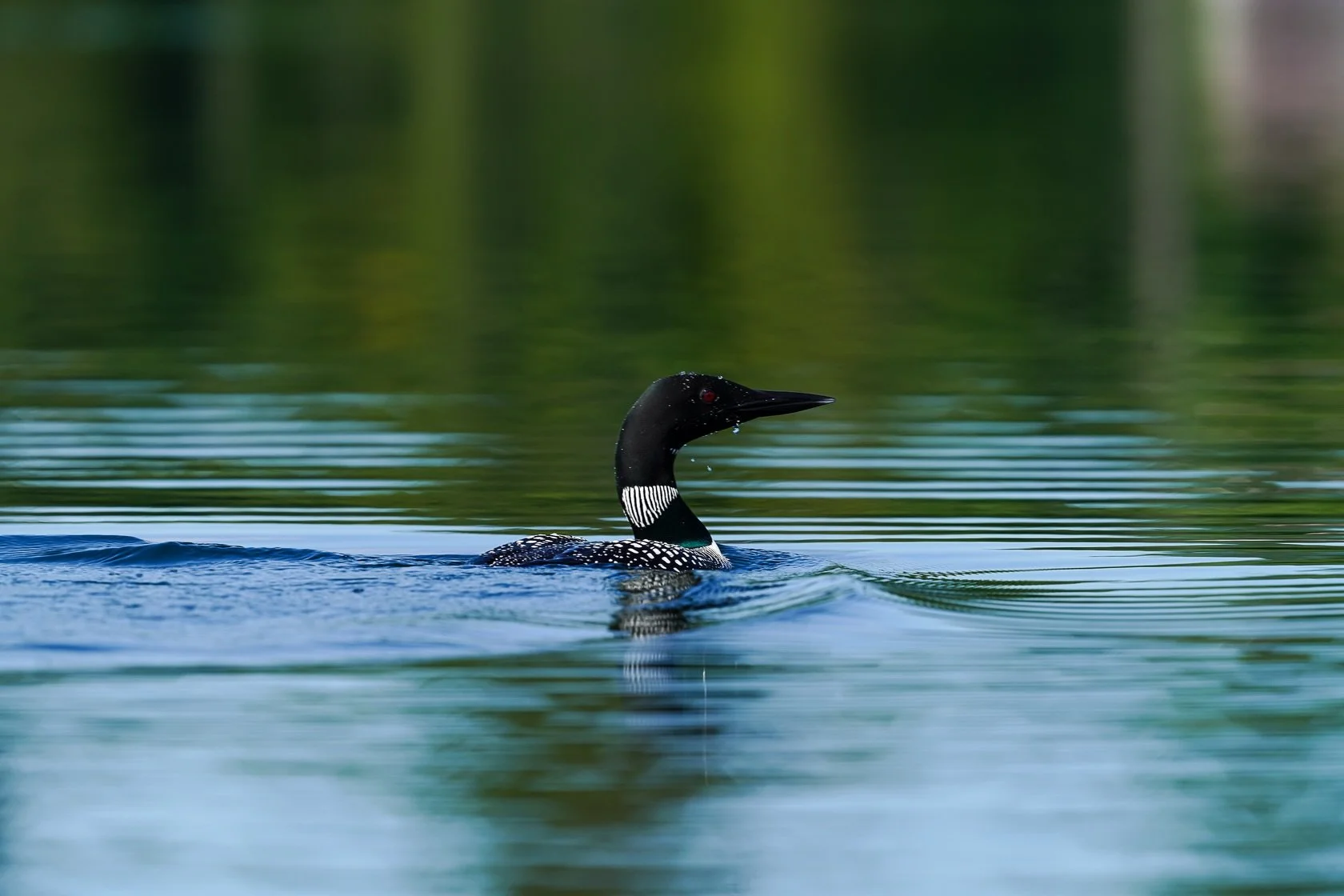 The inspiration behind the August issue of The OUT Post: Snail Mail Club 🤍 The LOON

If you&rsquo;re ready to slow down a little, to step back to when times were more simple, to experience God through His creation, then you&rsquo;re specifically who