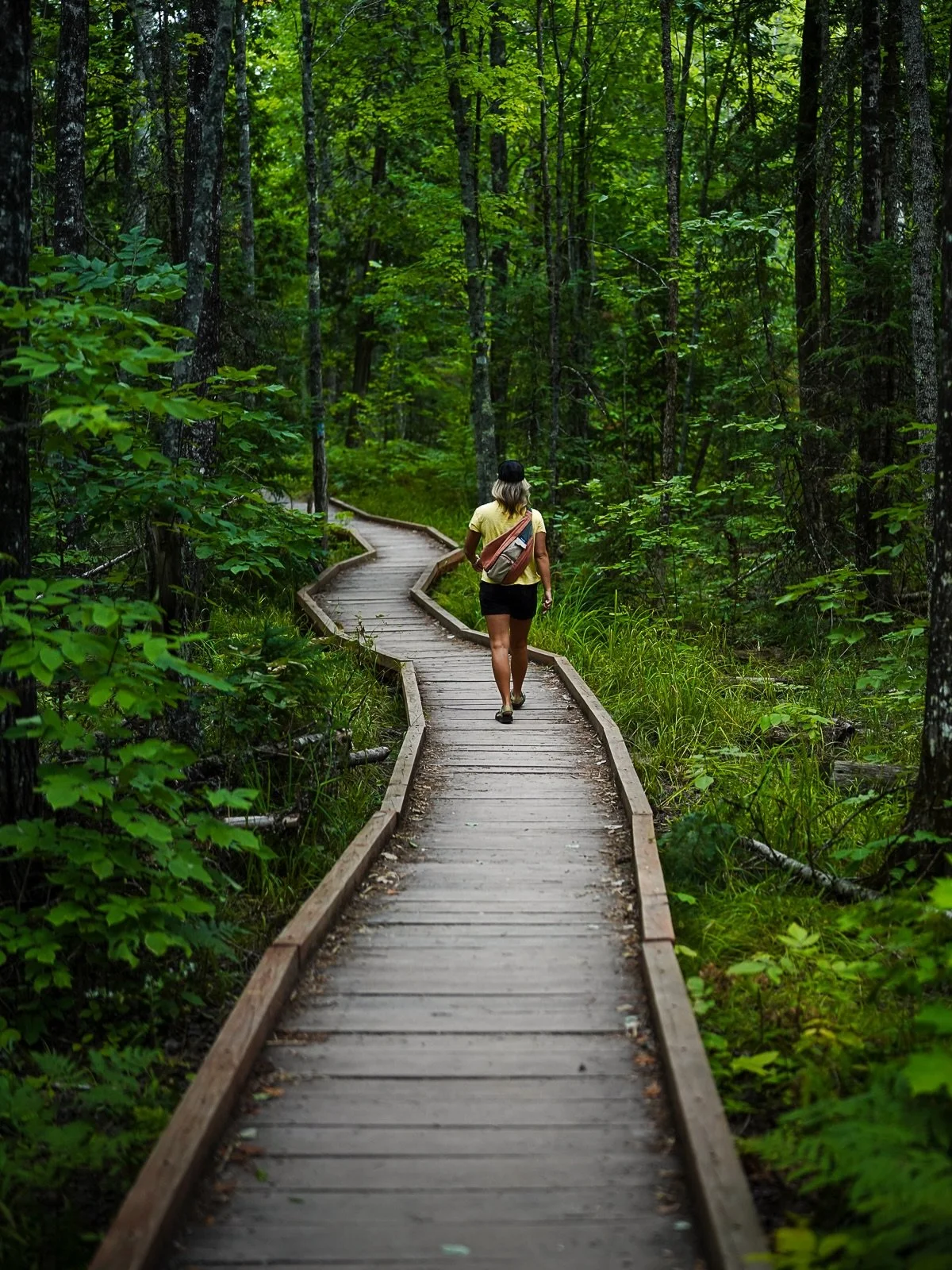 Photo dump from the end of summer 💛

As we transition to fall, I find myself ready for a slower pace, shorter days, and the cozy vibes that come with it all. 

Summer was a blast as we packed in all the outdoor adventures and wrap up the cabin build