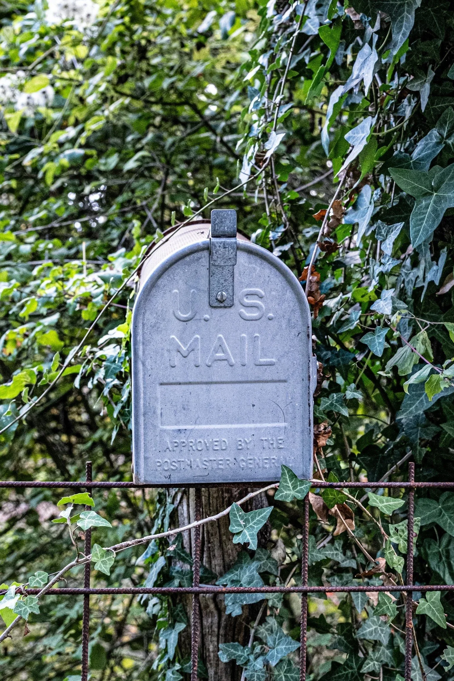 Silver U.S. Mailbox attached to a wooden post surrounded by green ivy and foliage.