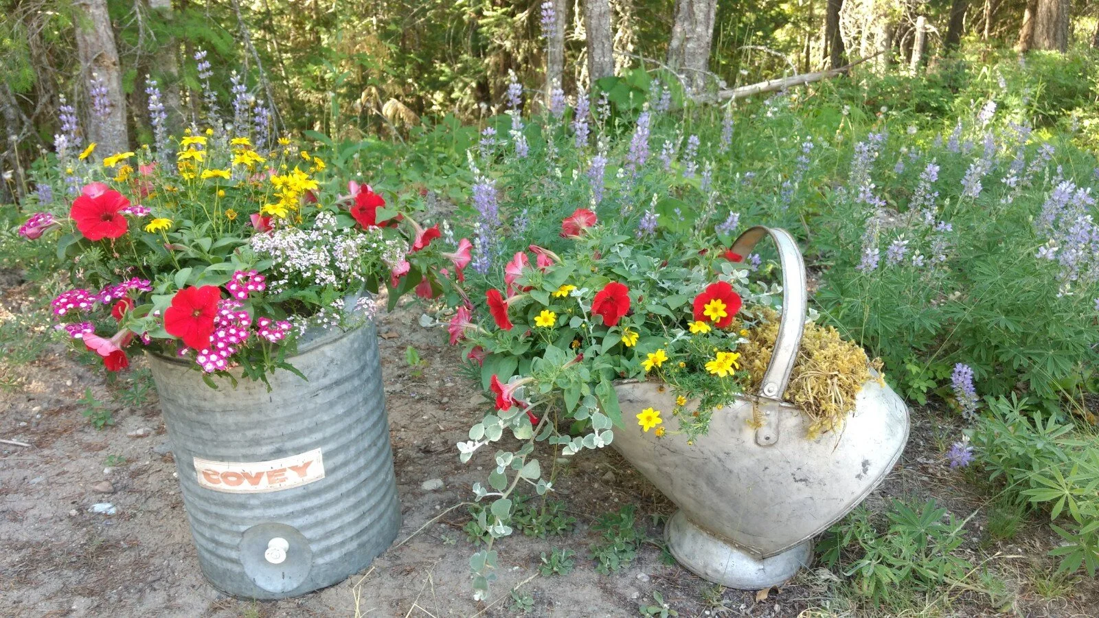 Custom container gardening in BC