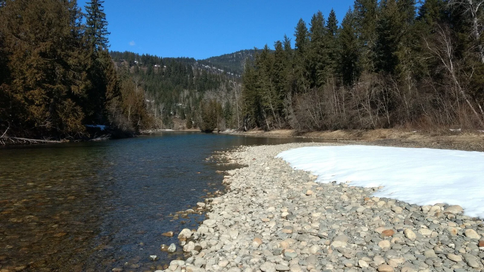 Who we are Greenbush Greenhouses and Farm