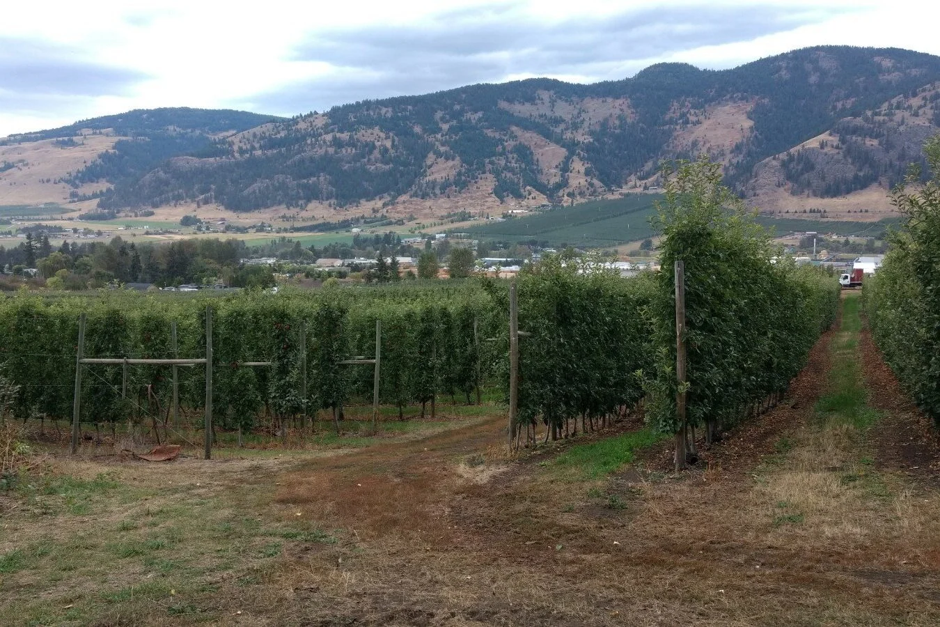 Consulting Services Greenbush Greenhouses and Farm