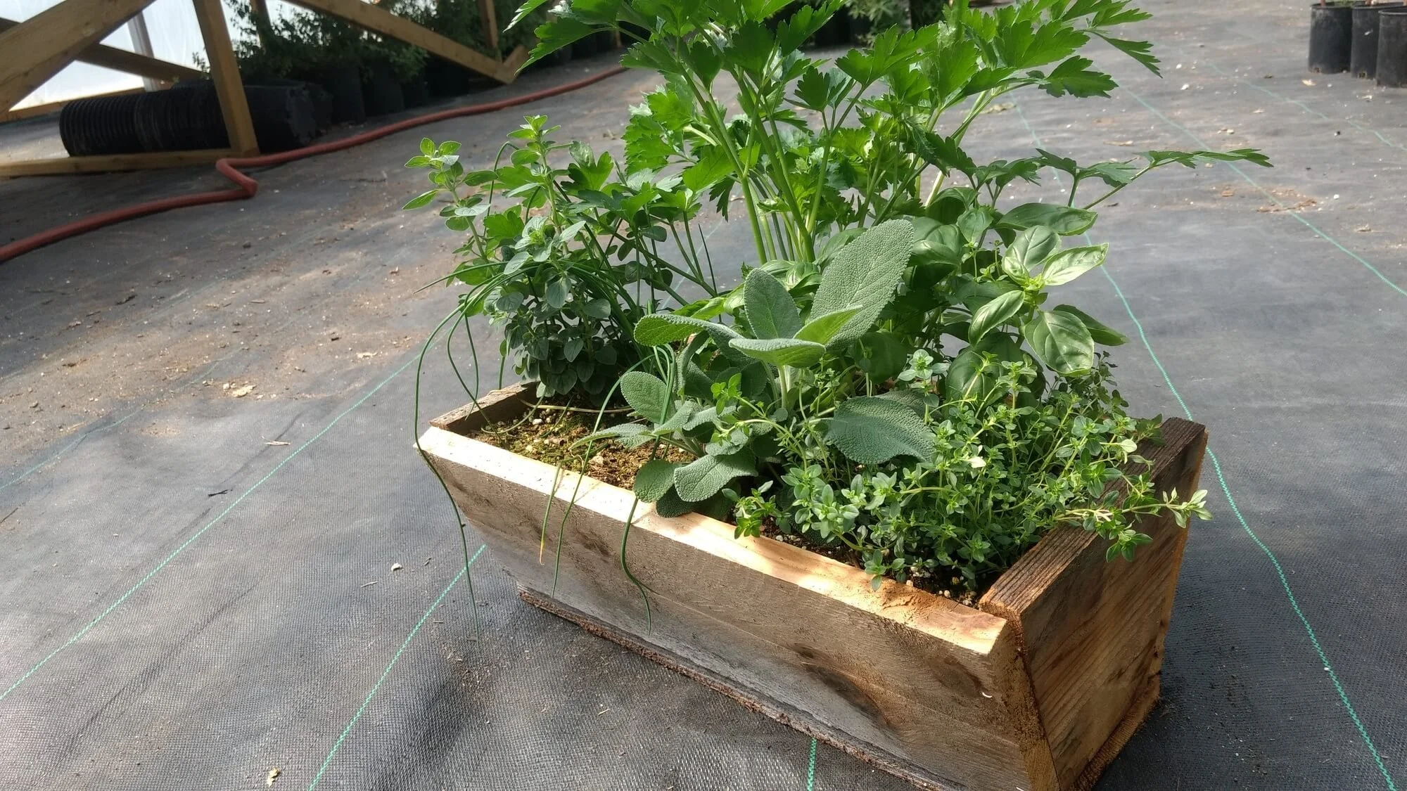 Store 2 Greenbush Greenhouses and Farm