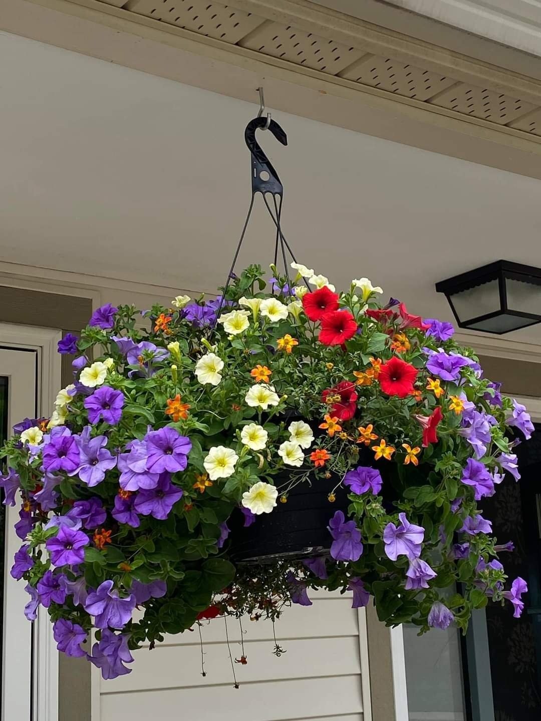 Fertilizer Tips for Lush, Blooming Baskets
