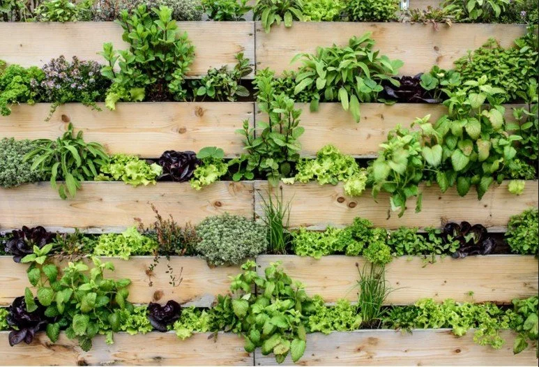 Vertical Gardening and Space-Saving Ideas for Small Gardens