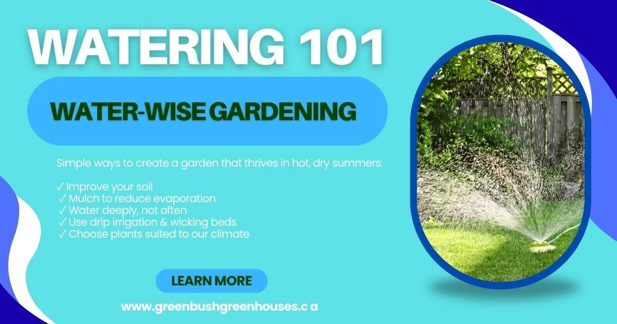 Water-Wise Gardening: Simple Ways to Save Water and Keep Plants Healthy